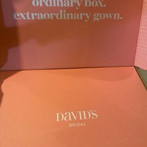 Wedding Dress/Davids Bridal/20W